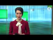 Программа "Капитал". Каким бизнесом можно заняться в Приднестровье? - 15/03/17