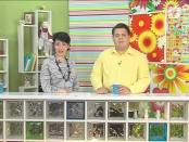 Программа "Утренний кофе" - 26/04/13