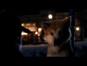 Хатико: Самый верный друг - дублированный трейлер