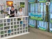 Программа "Утренний эфир"19.04.14