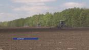 Завершение сева подсолнечника в Каменском районе