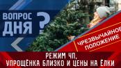 Режим ЧП, «упрощёнка» близко и цены на ёлки. Вопрос дня - 21/12/22