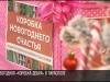 Новогодняя «Коробка добра» в Тирасполе