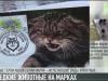 Лесной кот и гигантская вечерница: редкие животные на марках