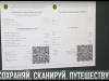 Как получить сертификат о вакцинации в электронном виде?