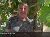 Поздравления Приднестровью из России