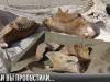#КЭБ_Итоги. Если вы пропустили: люди года, акции ко Дню Победы и уникальная находка