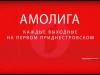 «Амолига-2019»: «бомбовый» ролик