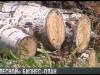 #КЭБ_Итоги. «Приднестровье-лес»: выход из кризиса