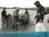 От карасей до амуров: как зарыбляют Днестр, Турунчук и лиман в Днестровске