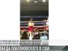 Профессиональный бой Даниила Платоновского