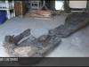 Лодка из дуба с историей. Артефакт из Дубоссар