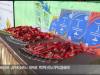 «Семья Президента за здоровый образ жизни»: эмоции праздника