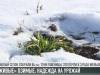 #КЭБ_Итоги. «Живые» озимые: без комментариев