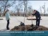 Супруги Красносельские высадили дубы в Музейном квартале