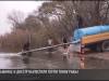 В Рыбнице в Днестр выпустили почти тонну рыбы