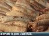 «Заигрыши». Второй день Масленицы