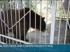 Жара в зоопарке: Маша принимает душ, Жанна меняет кожу