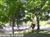 В Рыбнице начали борьбу с клещами