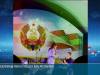 Предложение руки и сердца в День Республики: яркие моменты праздника