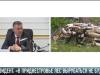 В. Красносельский: «Лес вырубать нельзя!»