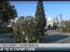 В Приднестровье отмечают Старый Новый год