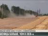 В Рыбницком районе убирают пшеницу