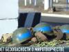 Совет безопасности о миротворчестве