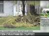 Весенние субботники в Каменке