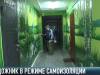 «Карантинный» досуг. Художник на самоизоляции
