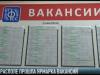 Работа есть: ярмарка вакансий в Тирасполе