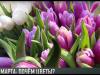 8 Марта: цветочный день