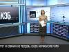 Запрет на свинину из Молдовы: у животных нашли африканскую чуму