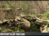 #КЭБ_Итоги. Куда отправиться на майский пикник?