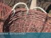 Виноградарство и плетение из лозы: семейное дело Барановых