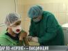 Вакцинация – контрудар по «короне»