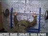Быстрее, выше, сильнее: армия и спорт