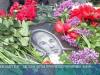 Памяти Николая Остапенко. Митинг на Мемориале Славы