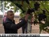 Как дела у аграриев? Инспекция Президента