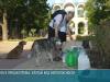 Жёлтый код в Приднестровье: волонтёры ухаживают за растениями