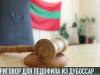 Приговор для педофила из Дубоссар