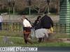 В Приднестровье могут пройти субботники