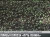 Теплицы колхоза «Путь Ленина»