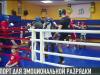 Единоборства: спорт для эмоциональной разгрузки