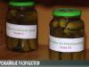 #КЭБ_Итоги. Аграрная наука: как вырастить урожай?
