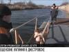 В Днестровск на Крещение приплыли лебеди
