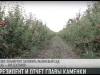 Завод, санаторий и жизнь в селах: отчет главы Каменки
