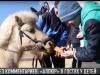 Без комментариев: конный клуб в гостях у детей