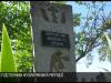 Июнь 1941-го. Бой над Рашковом