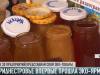 Первая эко-ярмарка в Приднестровье